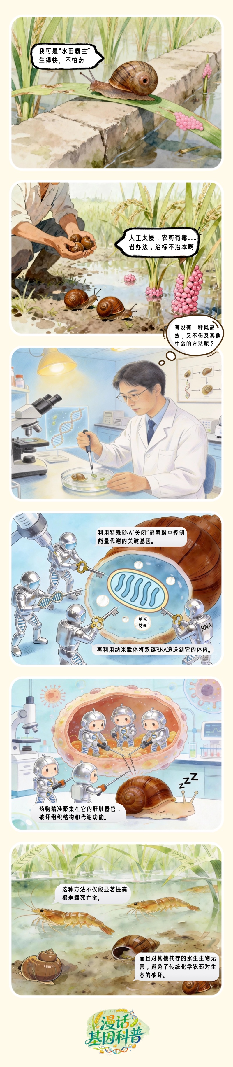漫话基因科普丨科学家给福寿螺开了份“基因处方”