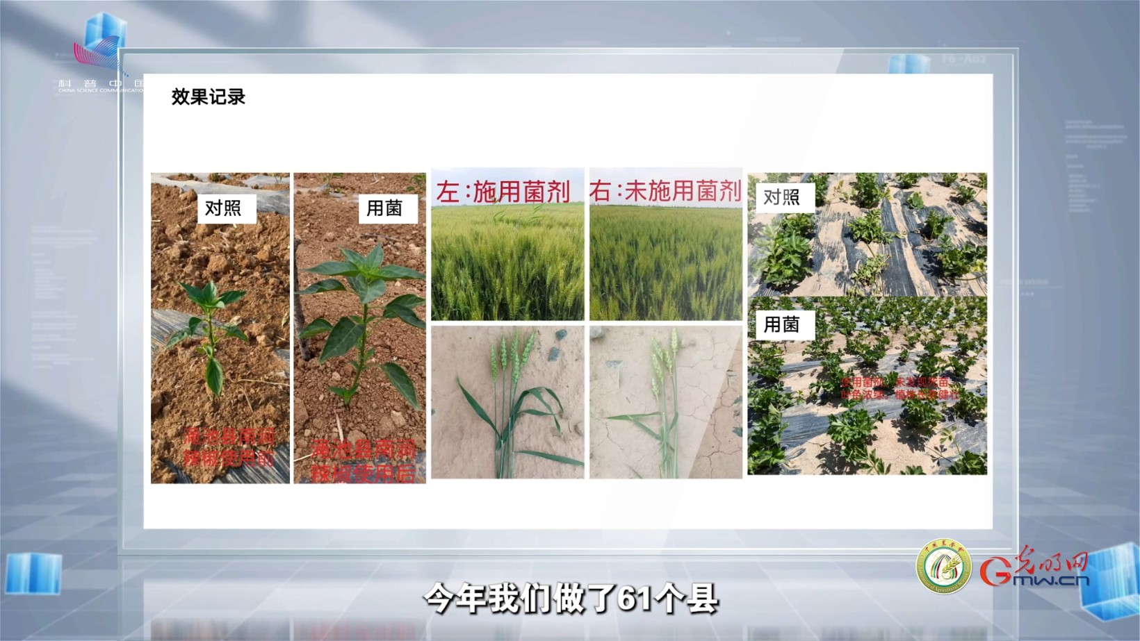 把菌剂工厂搬到田头,这项黑科技让土壤“满血复活” 把菌剂工厂搬到田头,这项黑科技让土壤“满血复活”