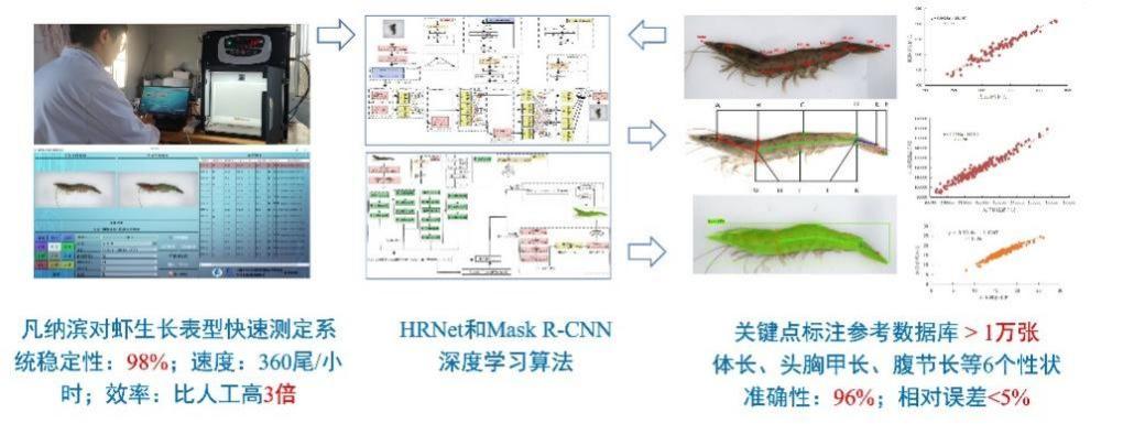 深海“选秀”来了！生物育种4.0选出“水产顶流”
