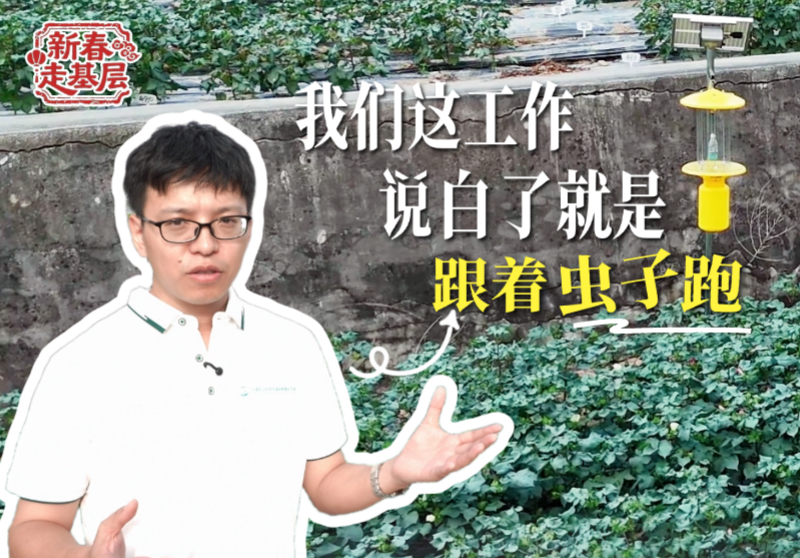 新春走基层｜“虫子飞到哪，我们的监测和研究就跟到哪”