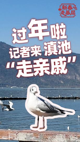 新春走基层丨过年啦!光明网记者来滇池“走亲戚”! 新春走基层丨过年啦!光明网记者来滇池“走亲戚”!