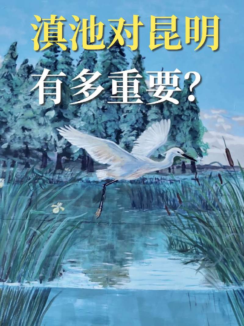新春走基层丨滇池对昆明有多重要？一个视频告诉你