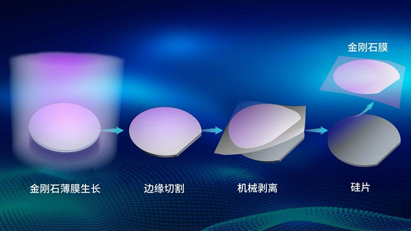 2025年度“中国科学十大进展”揭晓