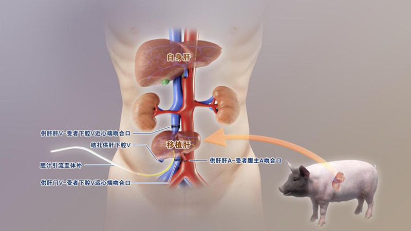 2025年度“中国科学十大进展”揭晓