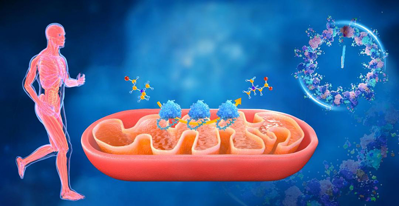 2025年度“中国科学十大进展”揭晓