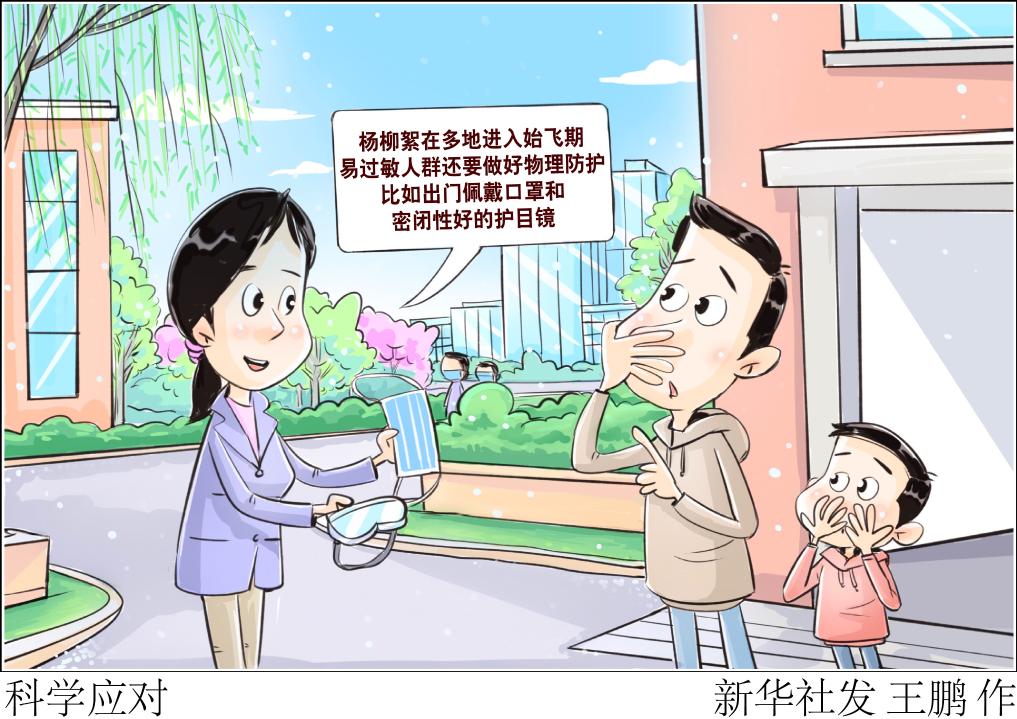 杨柳絮在多地进入始飞期,专家支招科学应对