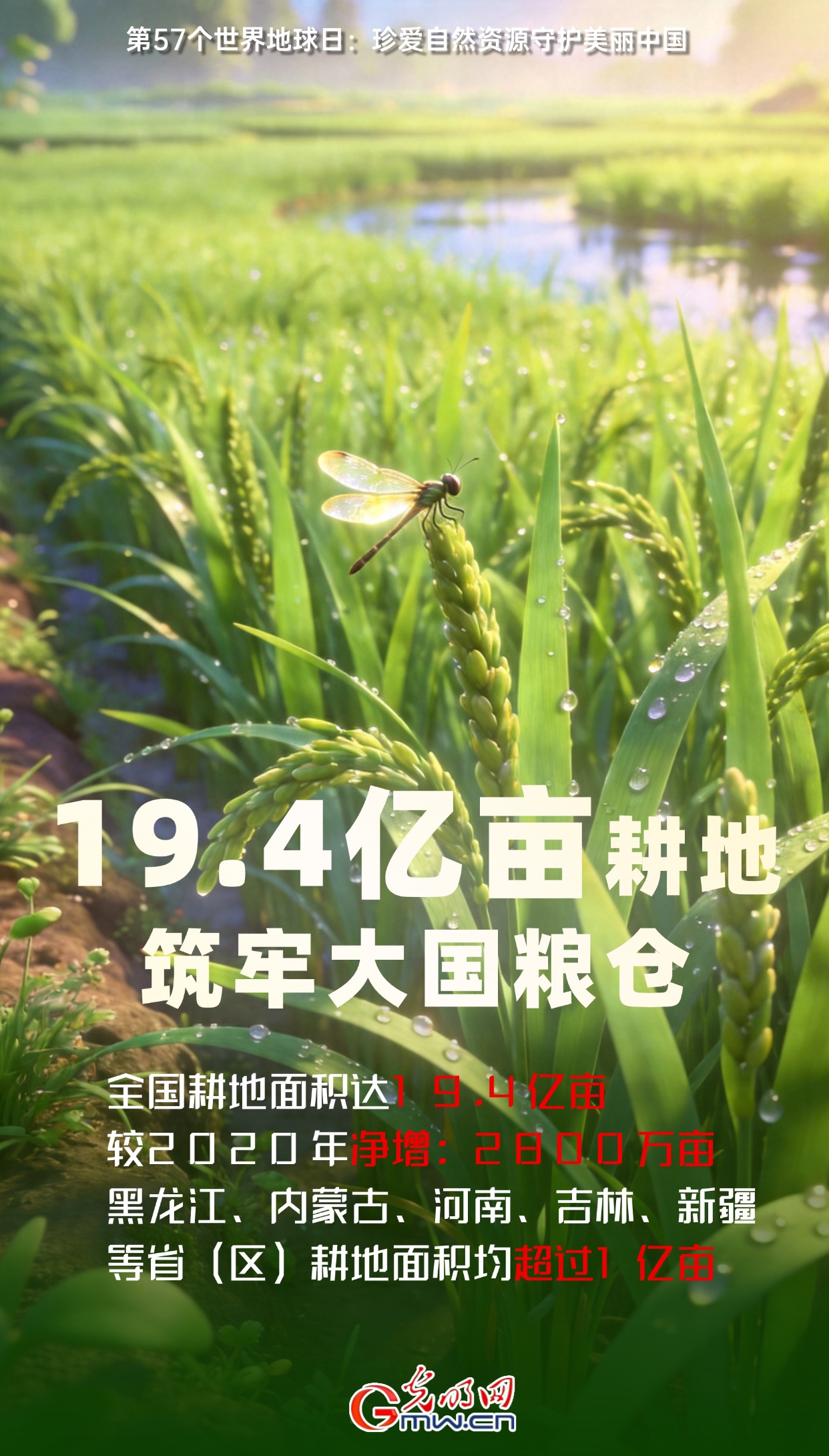 【生“动”答卷】珍爱自然资源 守护美丽中国