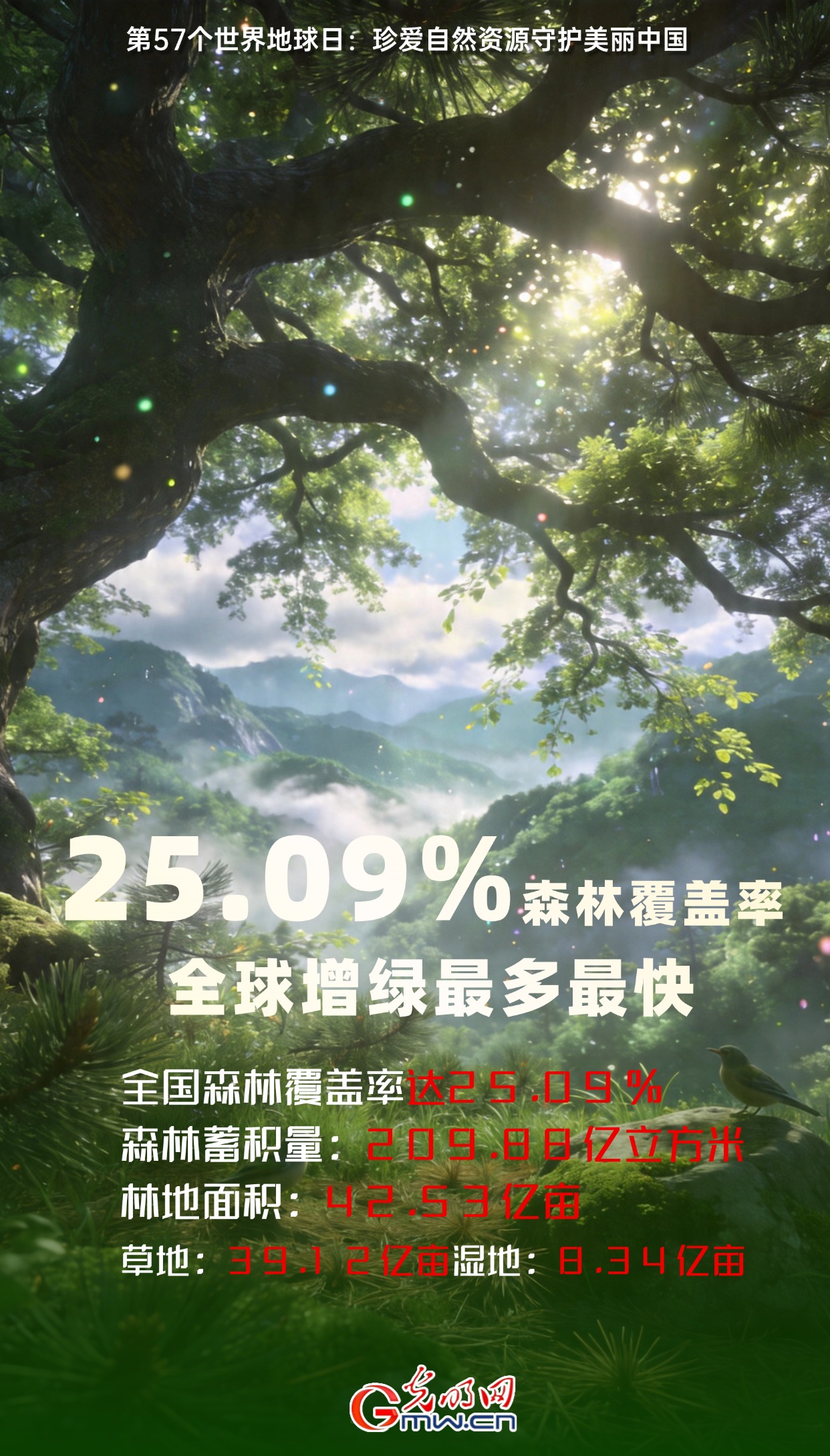 【生“动”答卷】珍爱自然资源 守护美丽中国