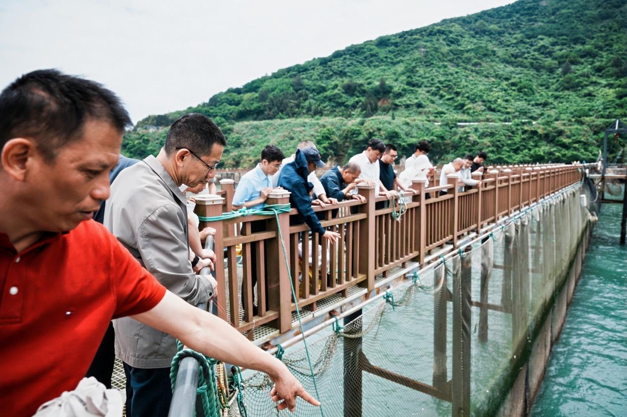2026年浙江省海洋自然保护地宣传暨台州大陈岛生态保护行动在台州启动