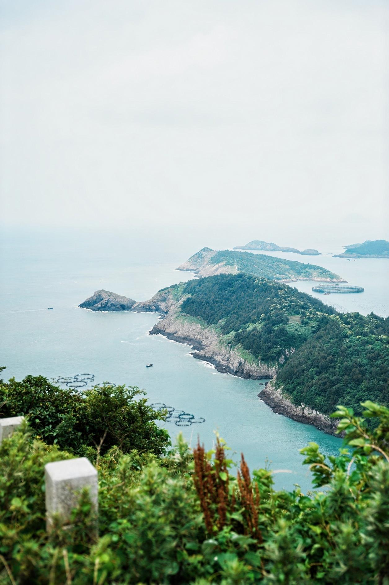 美丽中国·青绿手记|从荒岛到绿岛,大陈岛变美了! 美丽中国·青绿手记|从荒岛到绿岛,大陈岛变美了!