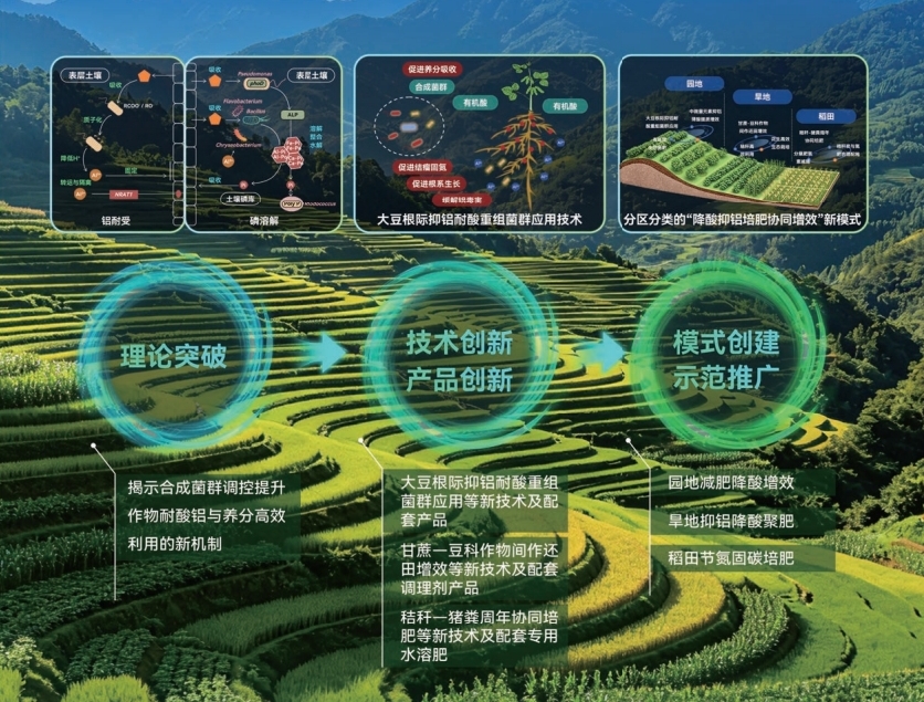 给红壤找对“搭子”！菌土共生重塑南方良田