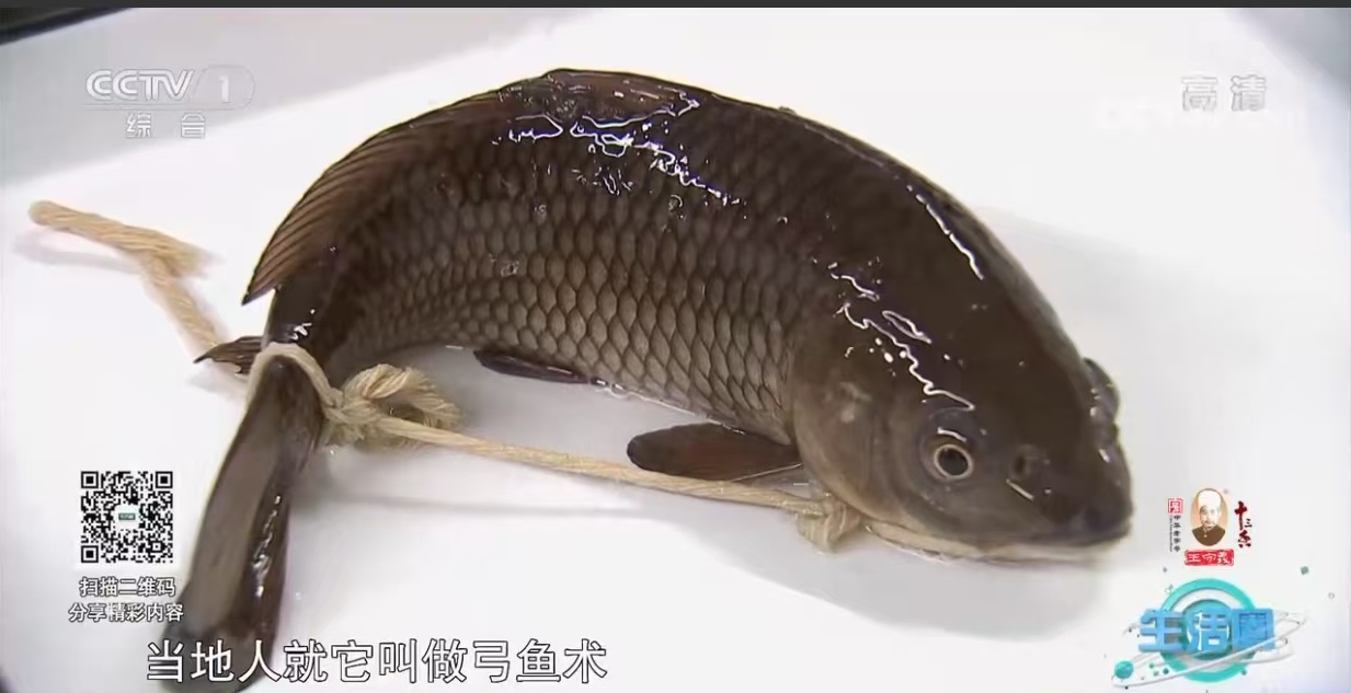 活鱼也能长途“睡”着运？不用麻药，一觉直达餐桌