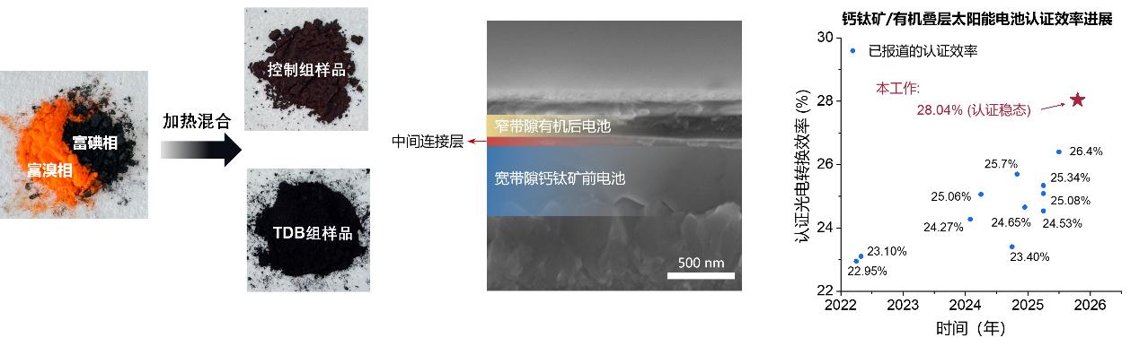 从“见光衰”到“越晒越稳”，科学家刷新钙钛矿叠层电池效率