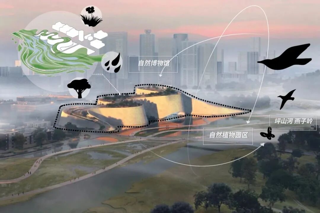 蹲直播!“科普之光”全国科普月大型网络展播活动来了