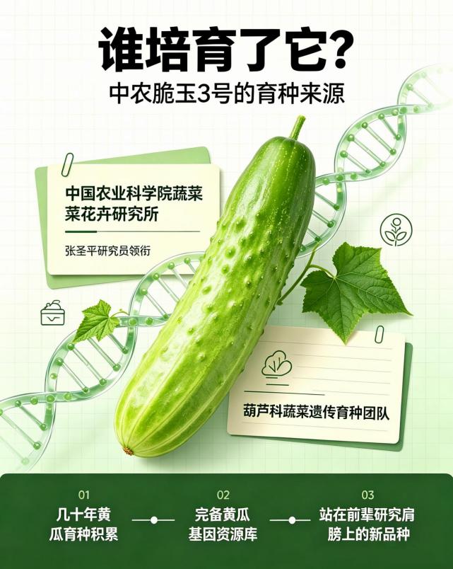第5期：减脂黄瓜丨从实验室到餐桌——一根减脂黄瓜的诞生之路