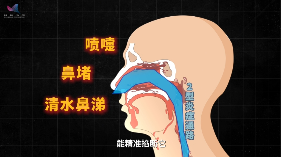 秋季花粉高发期,过敏性鼻炎患者如何安然过秋? 秋季花粉高发期,过敏性鼻炎患者如何安然过秋?