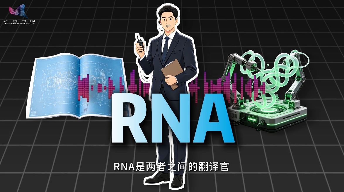 mRNA疫苗为什么全程离不开冷链？