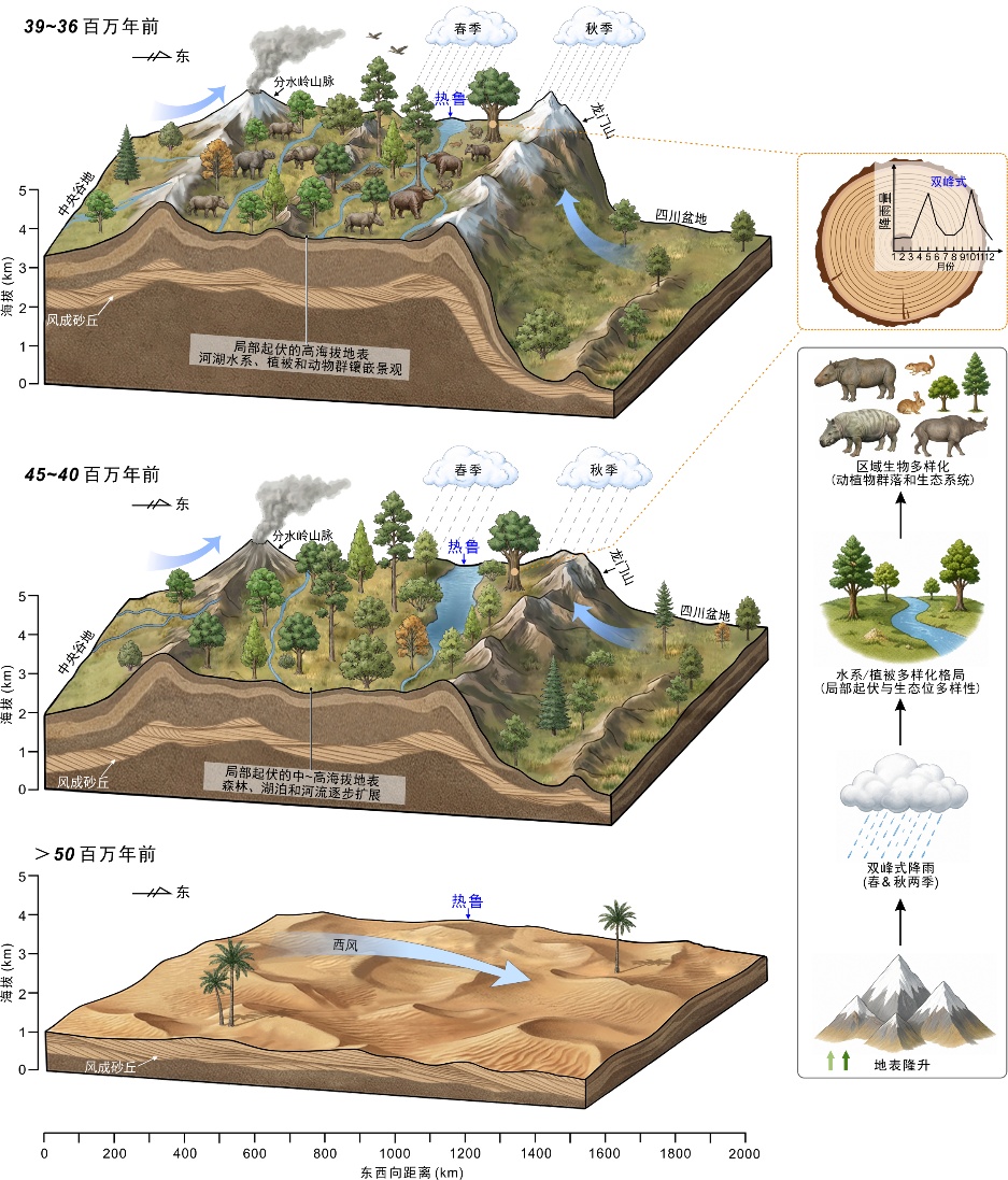 【科研论文科普解读】3900万年前，横断山就开起了“生物派对”