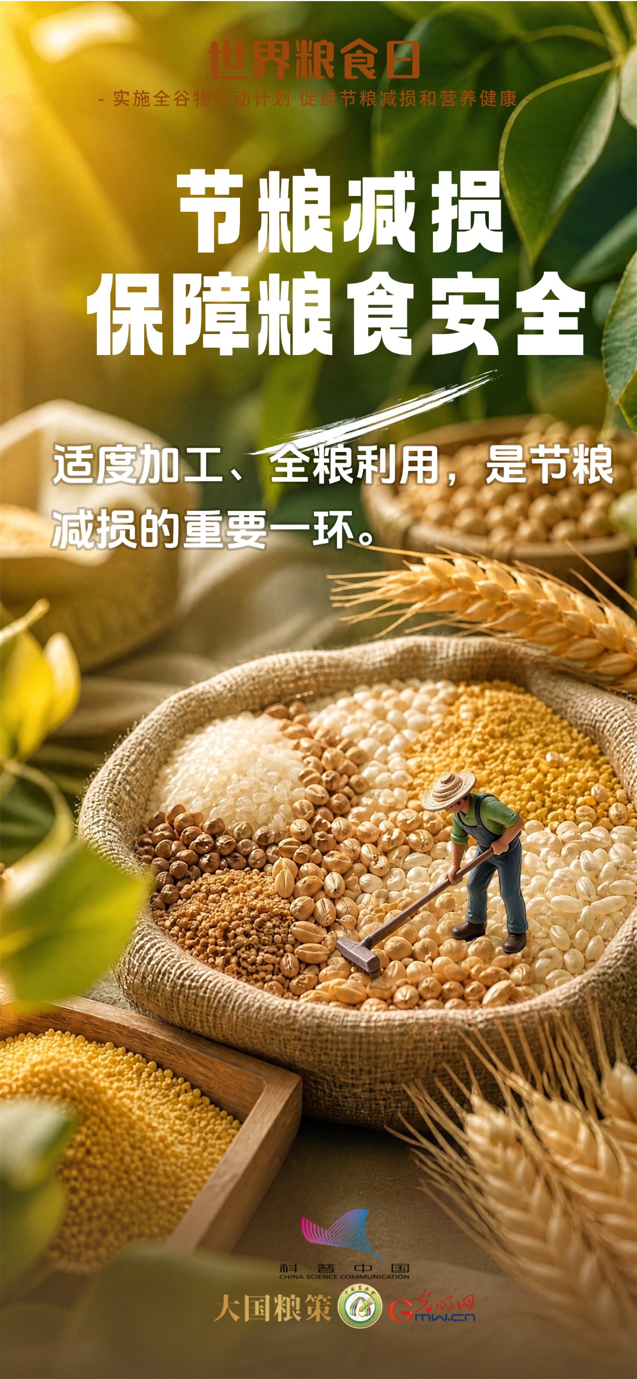 科普海报｜别只吃精米白面！全谷物了解一下