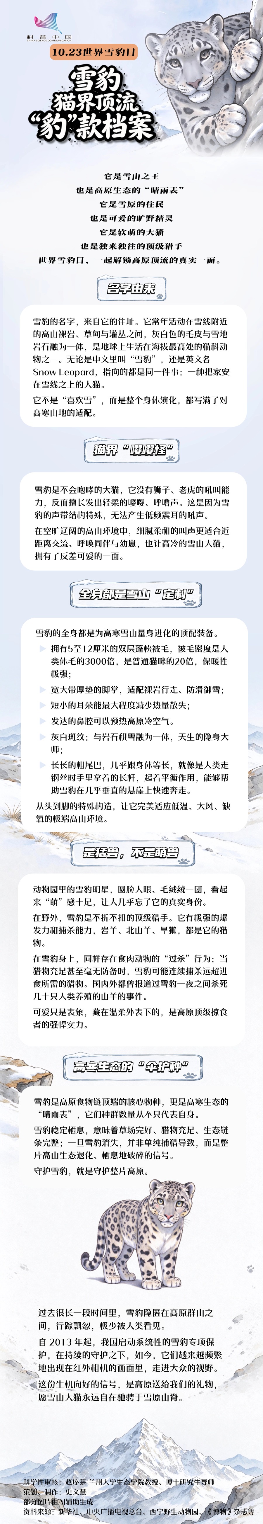 世界雪豹日｜别只觉得它萌！解锁高原顶流雪豹的真实一面