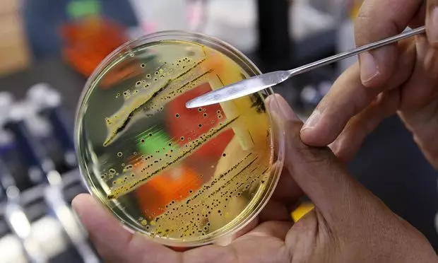 WHO权威发布：对人类健康威胁最大的12类细菌