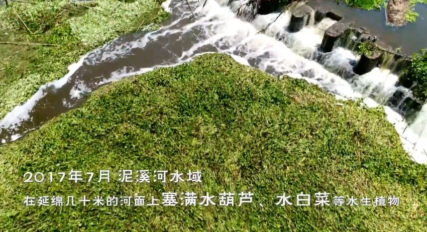 乐山·乐水——四川乐山“环保曝光台”助力绿水青山微纪录