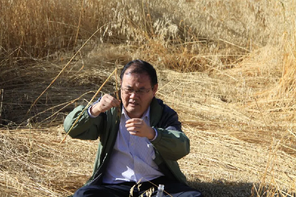 “去三江源国家公园见到野生动物的概率是100%”,他为何能自信承诺? “去三江源国家公园见到野生动物的概率是100%”,他为何能自信承诺?