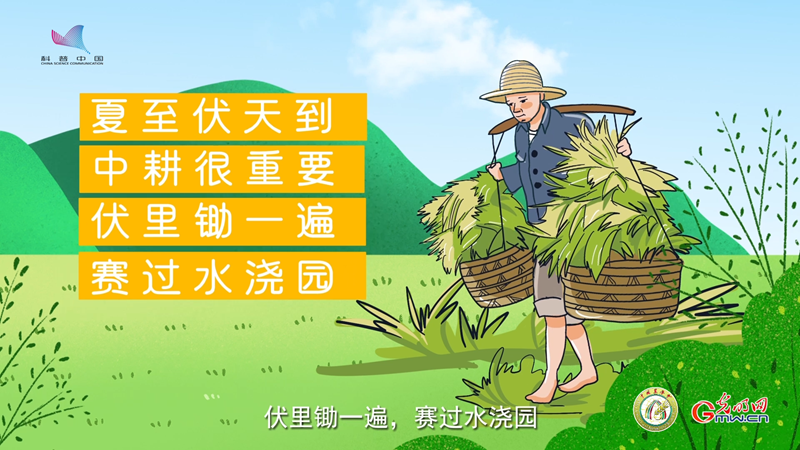 【二十四节气与农耕文明系列动画】进入夏至六月天，黄金季节要赶先