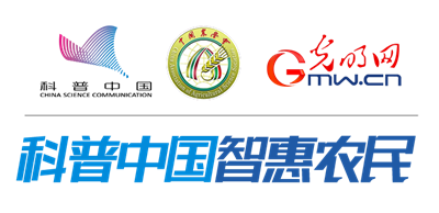 【科学种植百问百答】为什么小麦播种后要镇压？