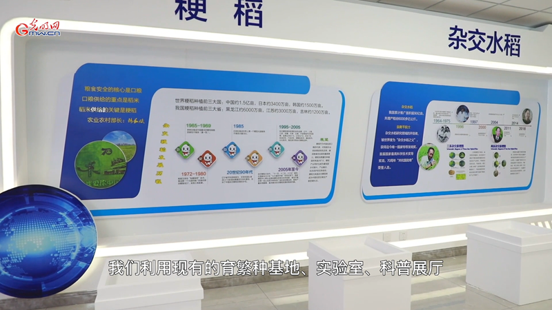 国家粳稻工程技术研究中心助力西青区打出“小站稻”农旅融合牌