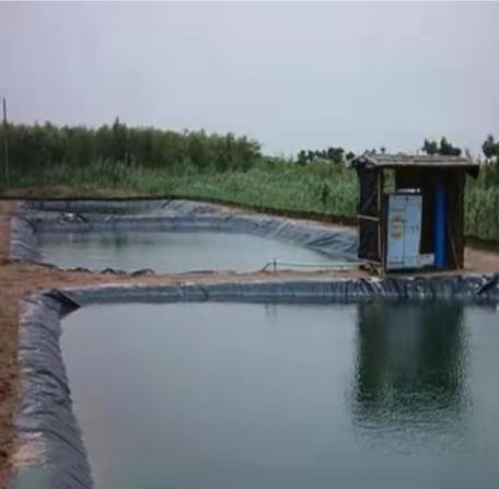 【智惠农民】水产养殖“未来式”：生物质能、氢能源、地热大有可为
