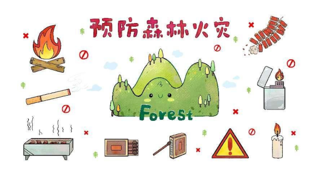 世界森林日 | 预防森林火灾，守护“地球之肺”