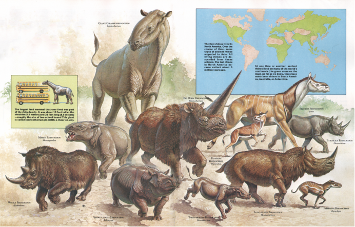 还记得西游记中的犀牛怪吗？冰河期真的有！