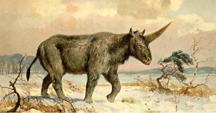 还记得西游记中的犀牛怪吗？冰河期真的有！