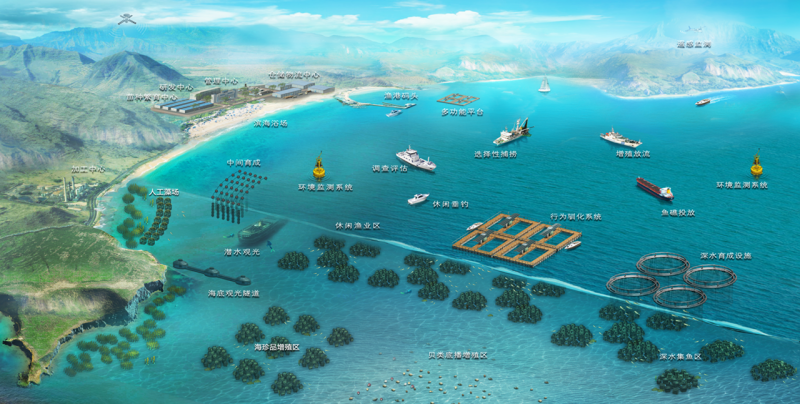 【世界海洋日】现代海水养殖模式——在海洋中“放牧”