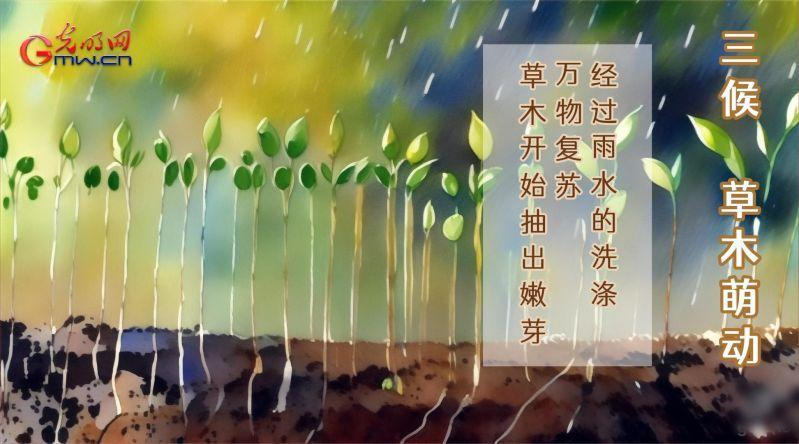 AIGC科普视频｜画说雨水“三候”