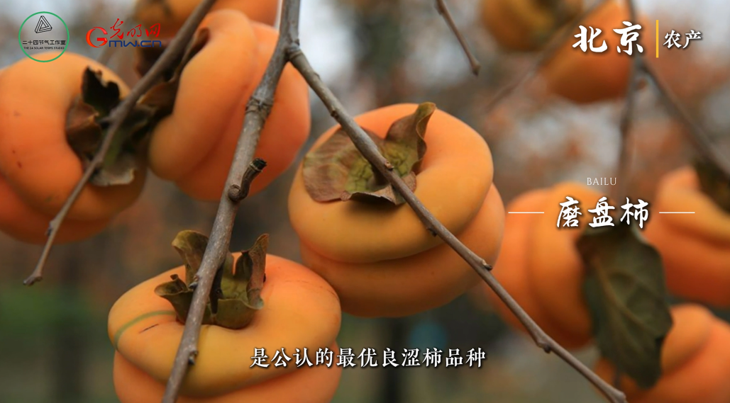 跟着节气游北京｜白露已至秋色浓，京华美景醉人心