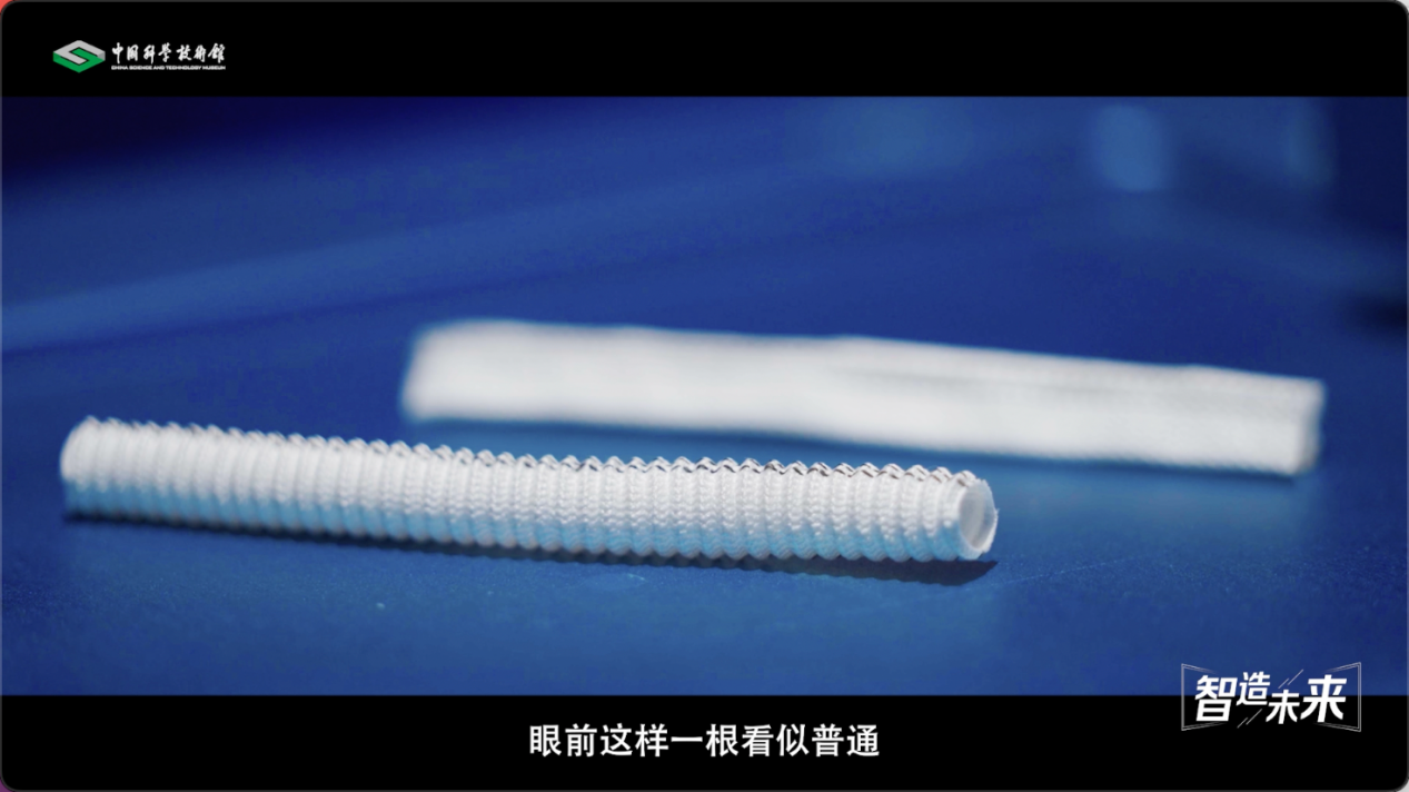 【智造未来】血液通道 生命桥梁——人造血管研发技术