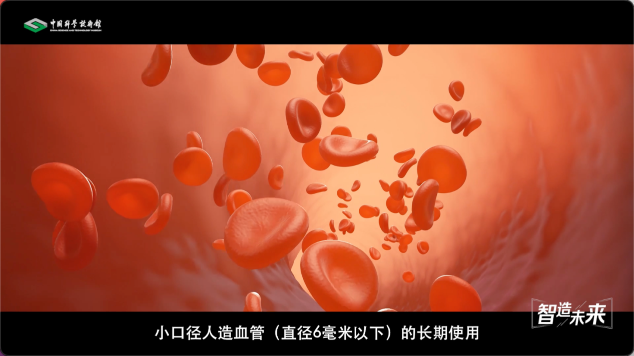 【智造未来】血液通道 生命桥梁——人造血管研发技术