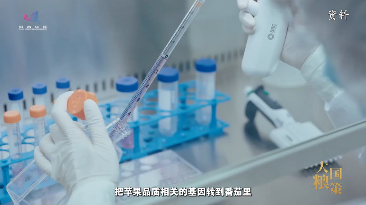 【大国粮策】揭开苹果“颜值与内涵”的科技密码