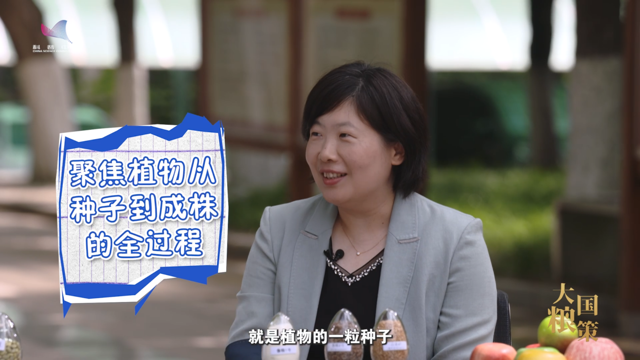 【大国粮策】植物分子生物学：读懂植物的“生长说明书”