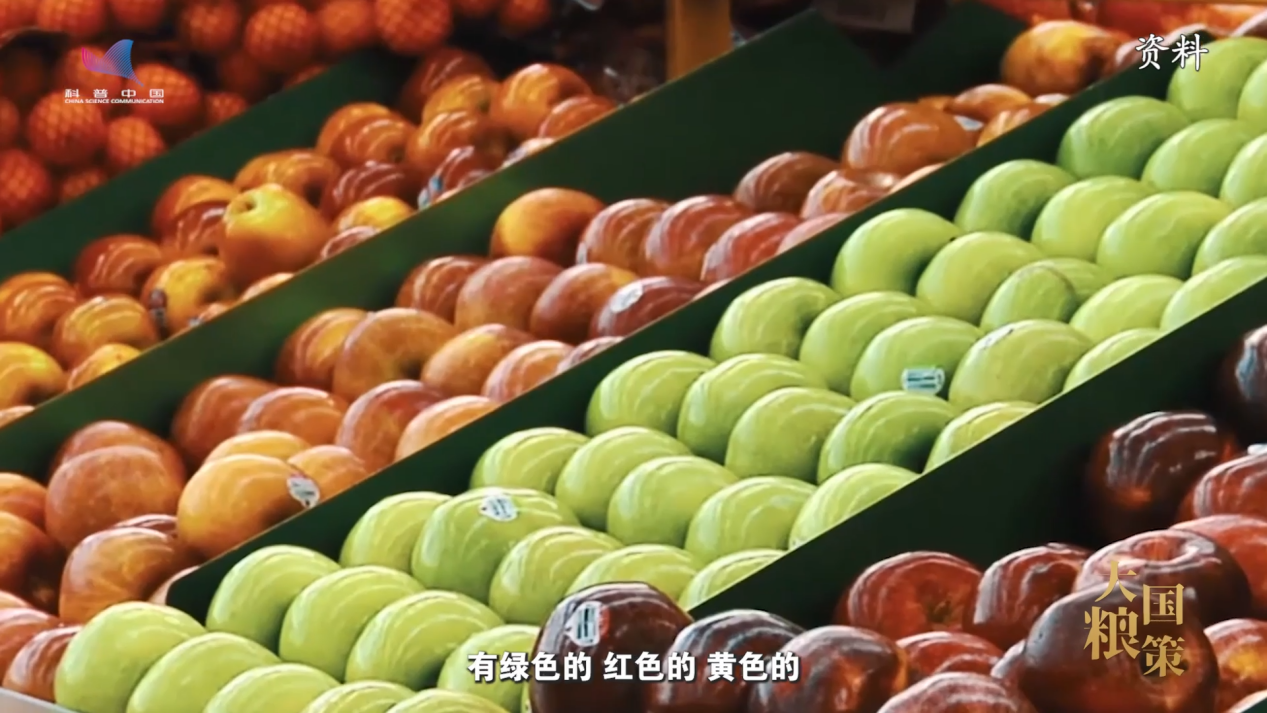 【大国粮策】揭开苹果“颜值与内涵”的科技密码
