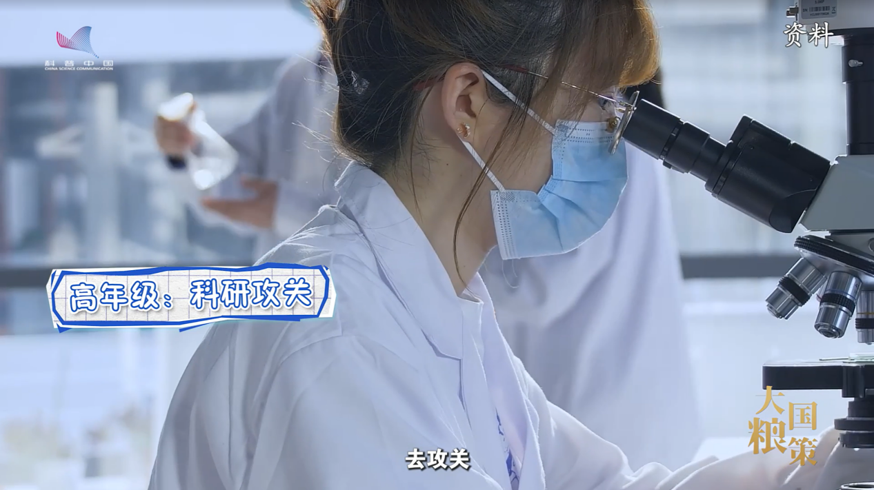 【大国粮策】新农学的“全能修炼”，不止种地那么简单！