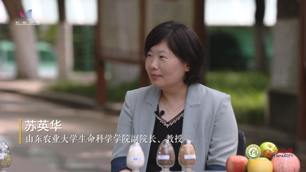 【大国粮策】是什么让果树“逆生长”，玉米籽粒翻倍？科学家解锁植物干细胞
