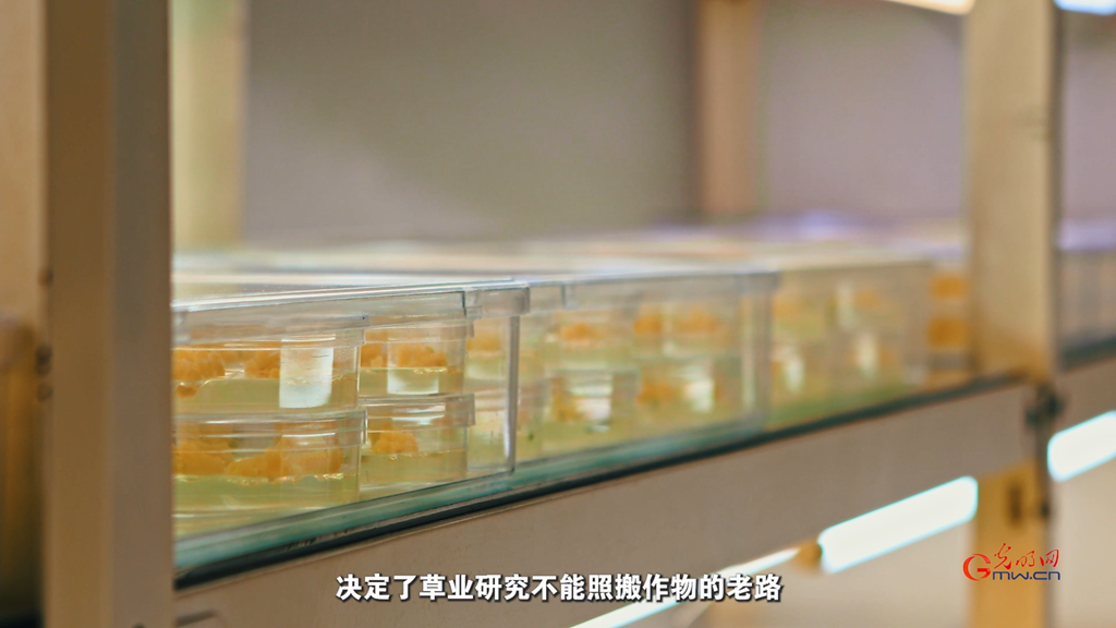 生态、生产、生活同频共振：科技如何让草原既绿又富？