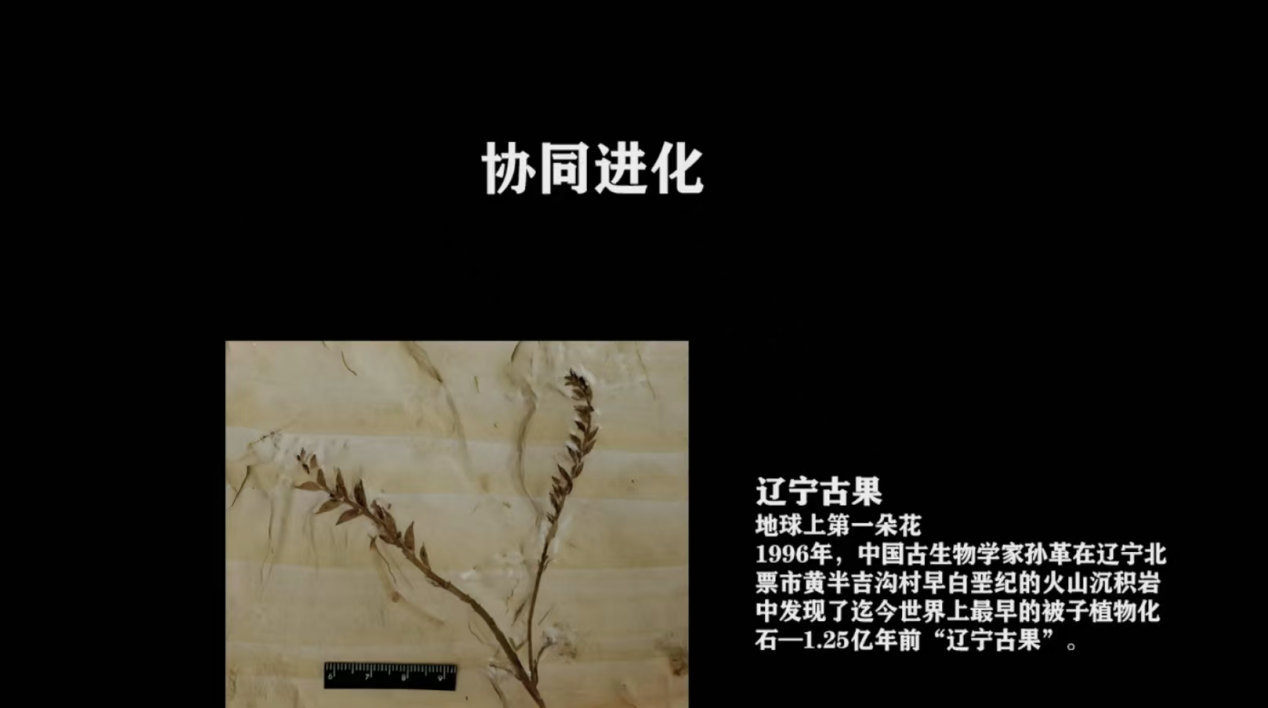 科普慕课｜揭秘恐龙生命的“演化规律”