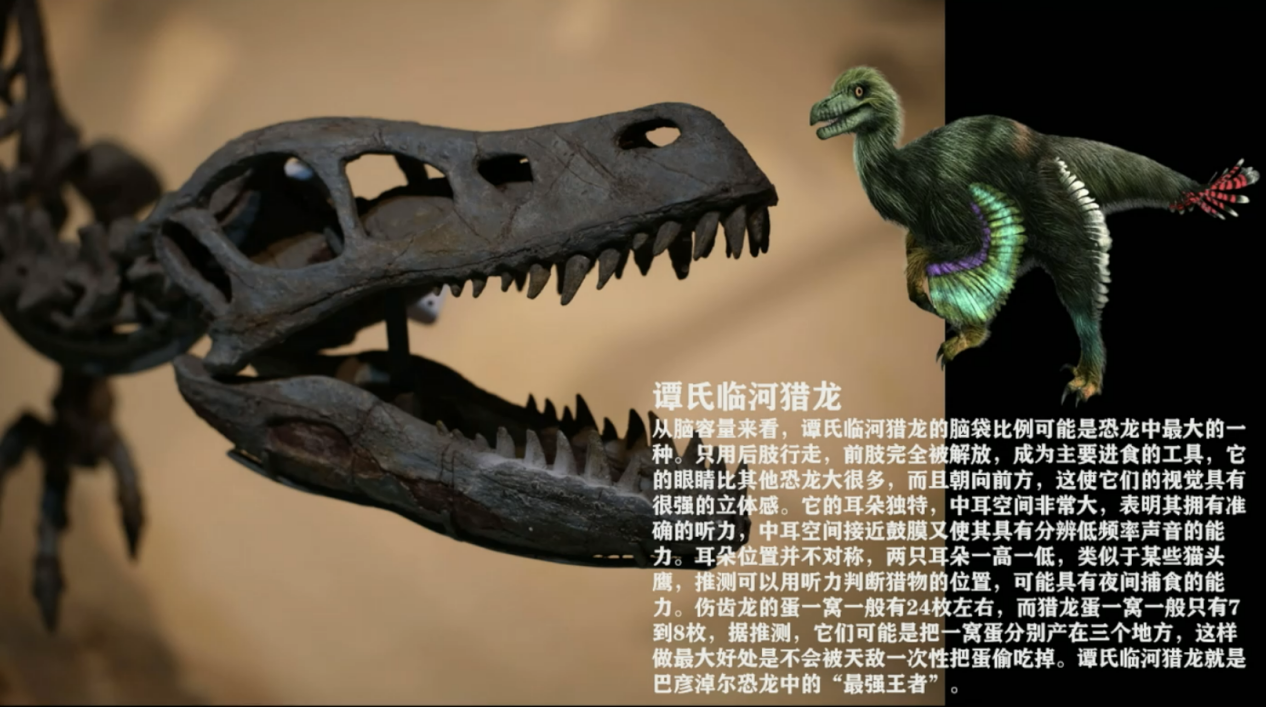 科普慕课｜揭秘恐龙生命的“演化规律”