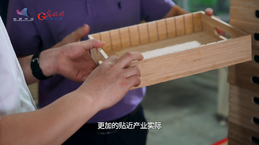 千年竹韵奏响绿色发展新乐章