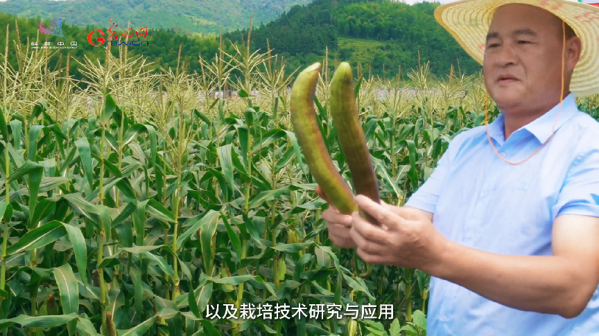 做强种业“芯”！这个“小院”不一般