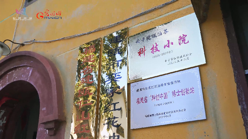 科技小院让红花油茶开出“致富花”